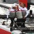 America’s Cup Napoli ayağının galibi Luna Rossa America’s Cup Napoli ayağının galibi Luna Rossa