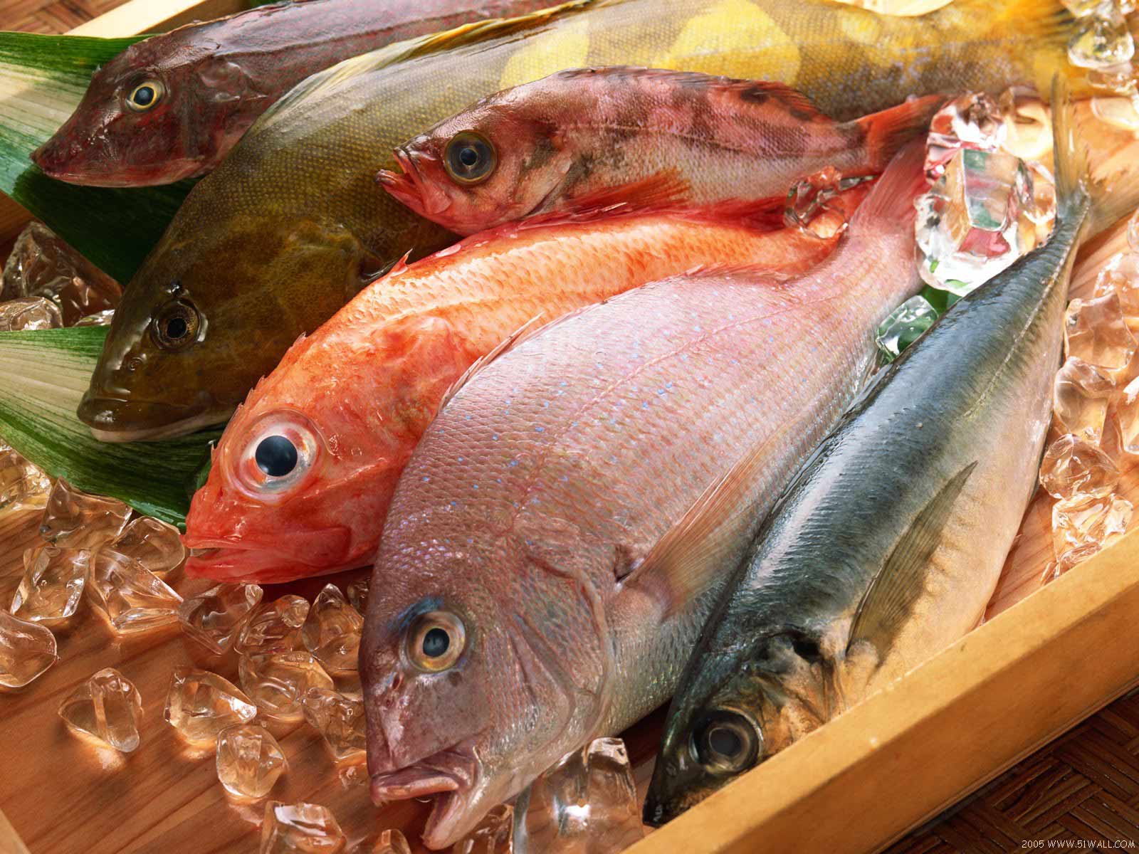 Photo of Hangi Mevsimde Hangi Balık Yenir ve Nasıl Pişirilir?